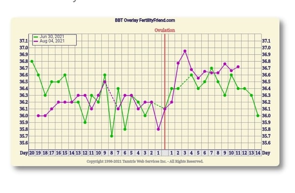 Tracking your cycle and possible BFP using RHR - part 6