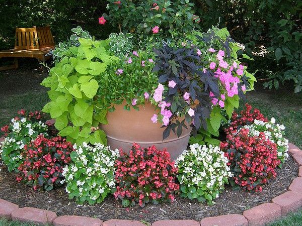 Loss with this garden