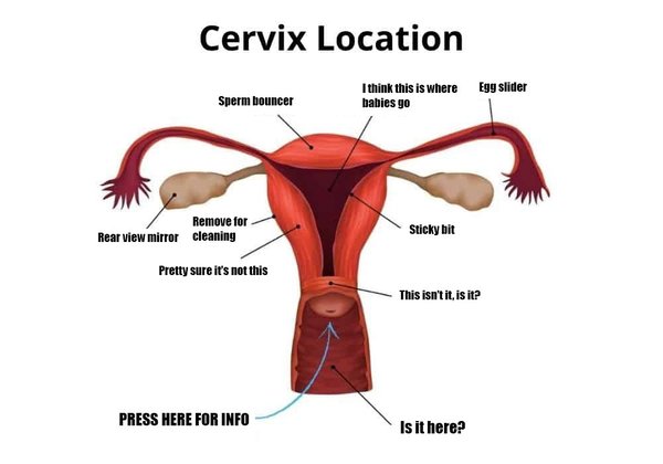 I bloody love women