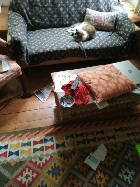Hoarder's Anonymous, Part 6