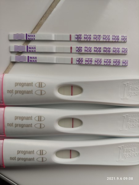 Support for Women who are TTC or Pregnant Following a Termination for Abnormalities- Thread 8