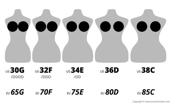 Bra size help