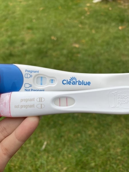 Expected 23 August. Currently 10 DPO