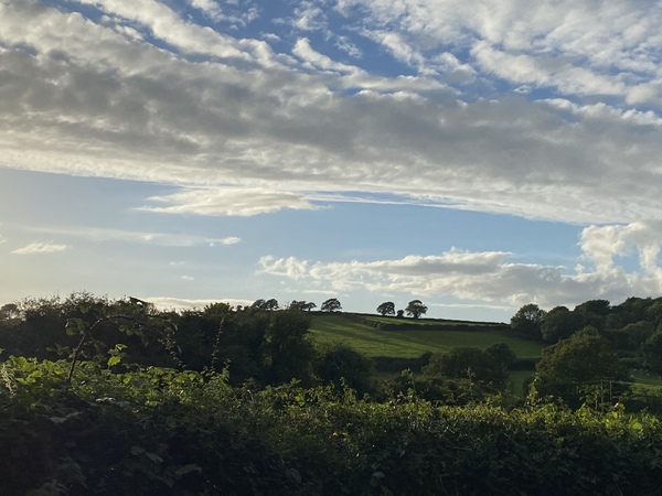 Walking for exercise/ mental and physical health/ as a hobby