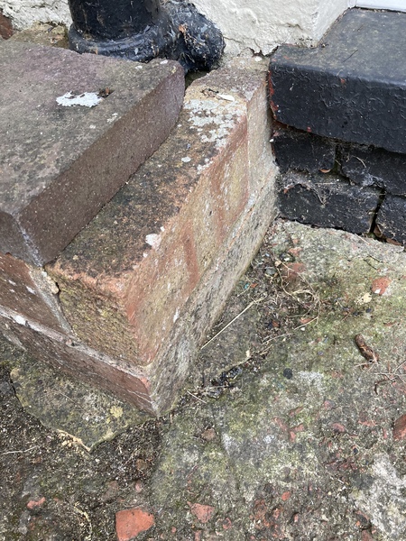 Advice needed for dealing with damp/mould issues