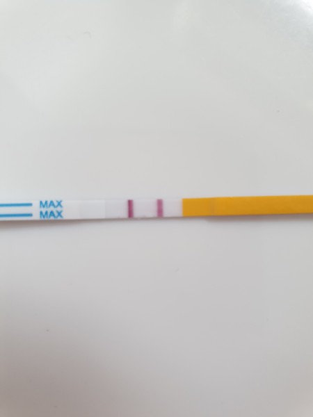 Ovulation pos/neg ?