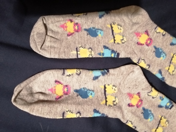 Something old, something new, something BlueStocking