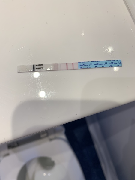 Ovulation TTC #1