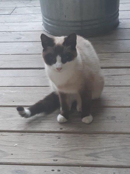 What's your DCat up to today? (Thread 9)