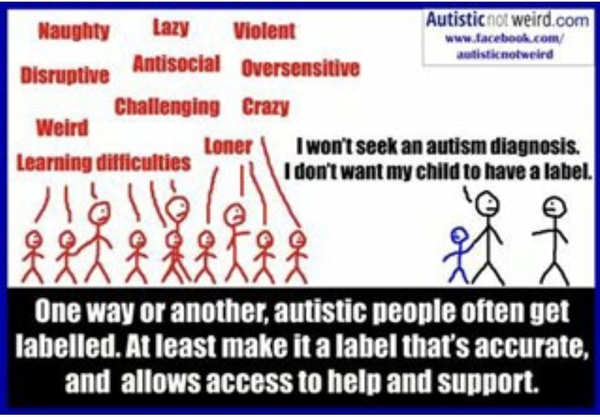 High functioning asd and no interest in a diagnosis.