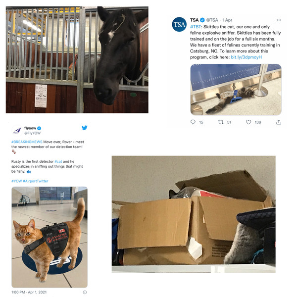 Police - Secret Cat Division
