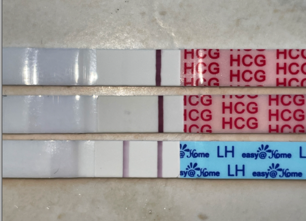 Positive cheapie? Negative clear blue?