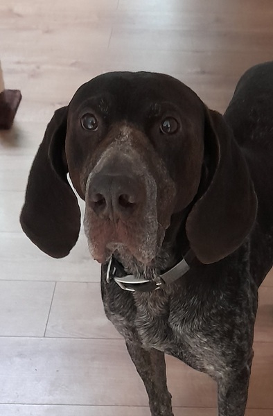 Knit, Crochet and Natter 6: Where there's a wool there's a way