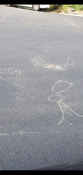 What stupid thing did you believe?