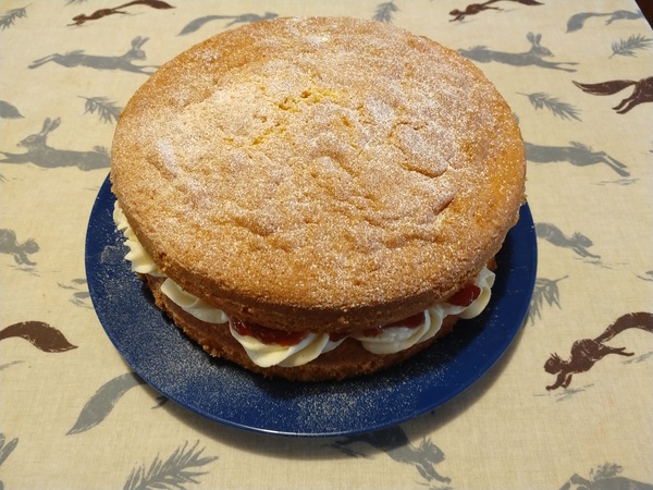 My cakes are rubbish please help me.
