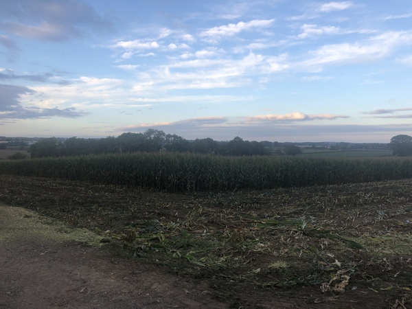 Summer has just finished. Just felt it go as the weather front slips in from the West. Who else is in tune with the weather?
