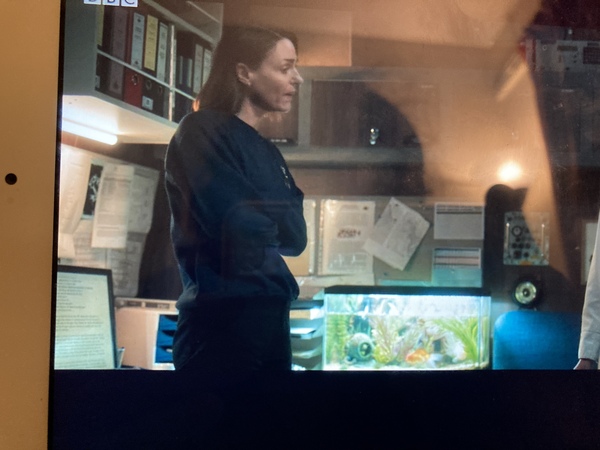 VIGIL - starts Sunday 29th Aug. BBC 1 - TV PACE. NO SPOILERS