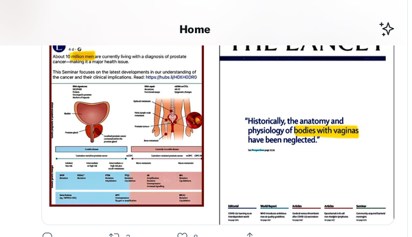 The lancet on periods “bodies with vaginas”