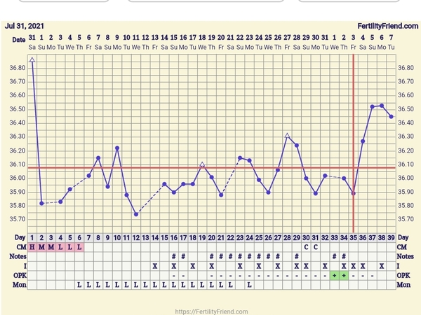 Have I ovulated? BBT chart
