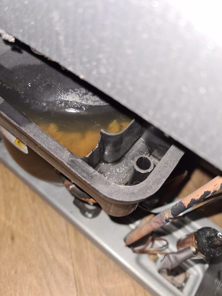 Smell in kitchen, driving me MAD