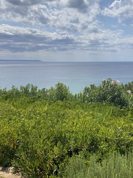 Is it selfish to travel abroad at the moment?