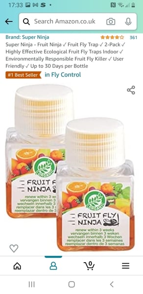 Fruit flies?