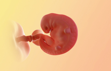 AIBU to ask how much support Pro-Life believers provide for actual children in need? Texas just banned abortion in the US.