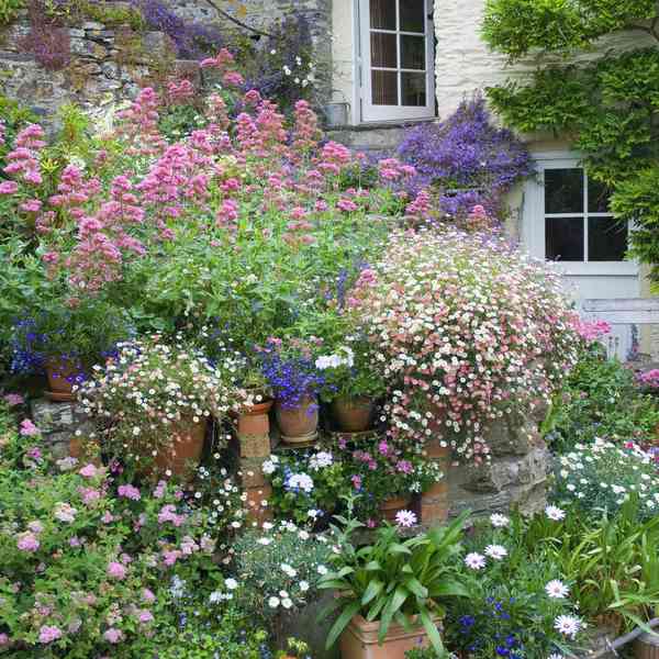 Loss with this garden