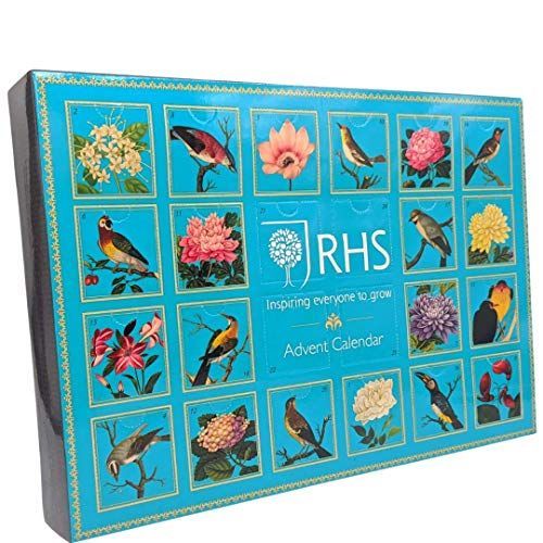 Advent Calendars 2021 - anything new on the horizon?