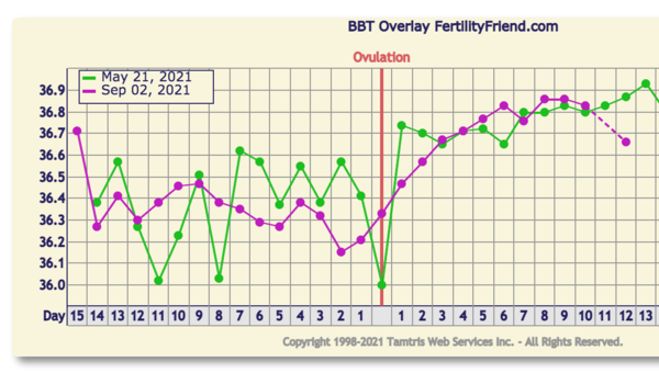 Entering the TWW with BBT charts #2