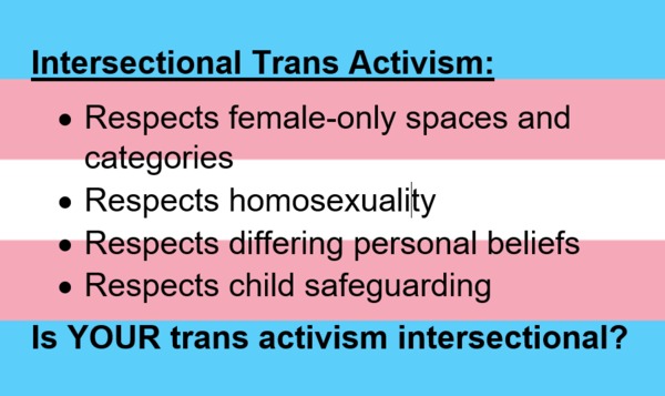 How do we provide a face-saving way back to reality for the politicians / public figures who are currently transactivism's minions?