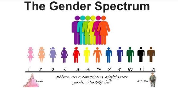 Gender awareness leadership for ELC & schools...