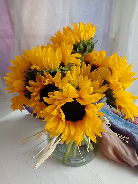 Something old, something new, something BlueStocking