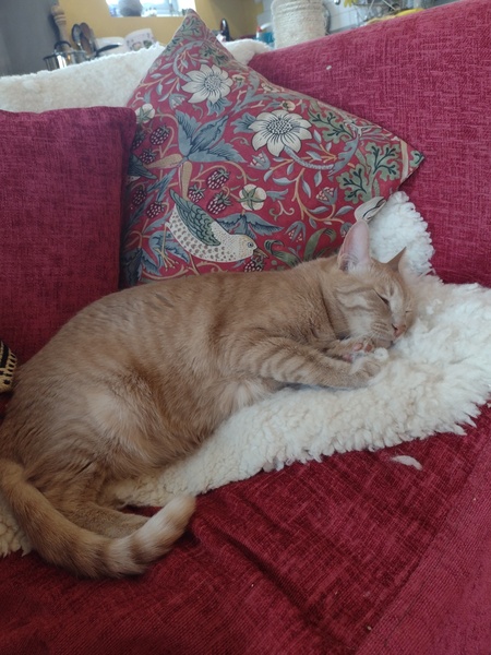 Plans for the day
