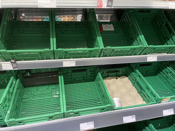 To despise those that voted for Brexit when I’m doing my weekly shop