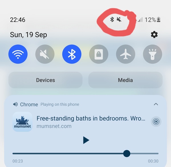 Wtf MN 'There's a Dog in the House' music no video