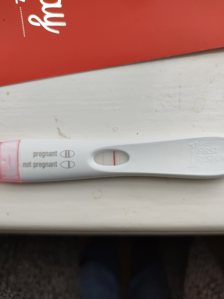 🦕 Catching up - ttc after miscarriage part 7 🦕