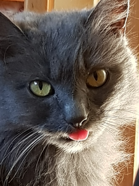What's your DCat up to today? (Thread 9)