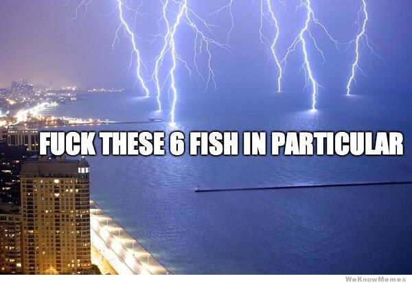 Do you know to get out of the water if there's lighting around?
