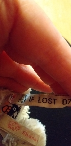 Lost toddler's special bunny...I feel awful