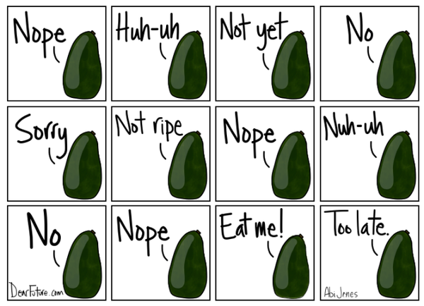 Dd1 bought an avocado today.