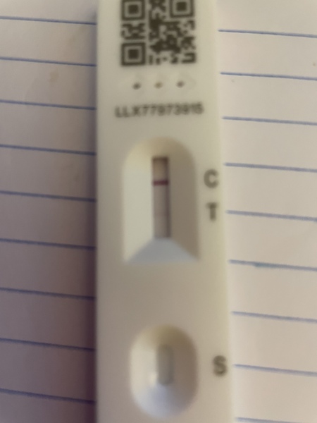 How long did it take you to get your PCR result?