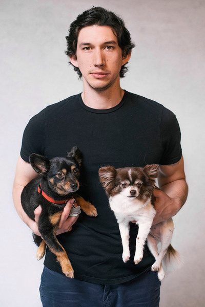 To want Adam Driver to impregnate me?
