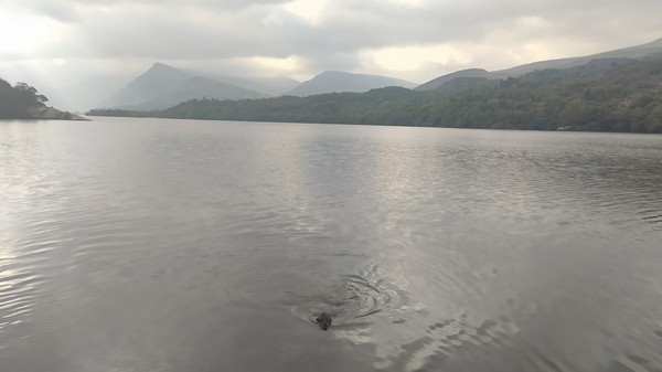 Tourists exodus today relieved