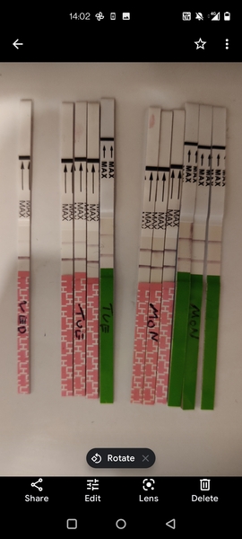 Ovulation