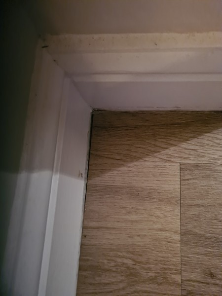 AIBU to be unhappy about this flooring (pics)