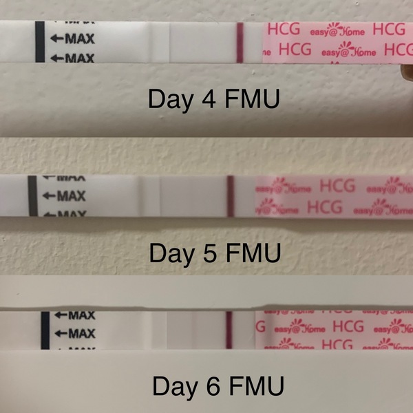 AF cramps in early pregnancy or false positive?