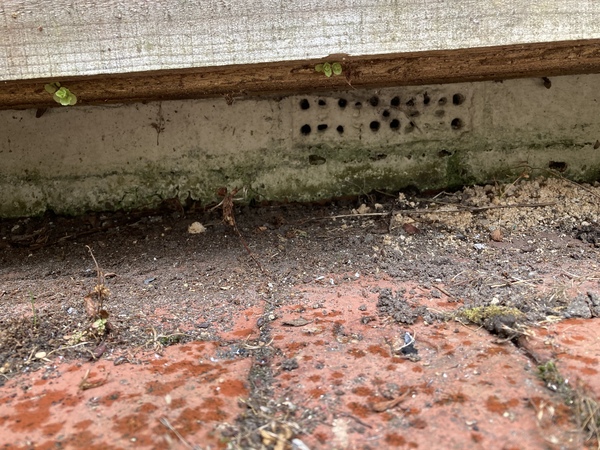 Advice needed for dealing with damp/mould issues