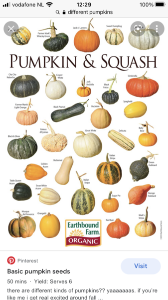 Embarrassing vegetable question