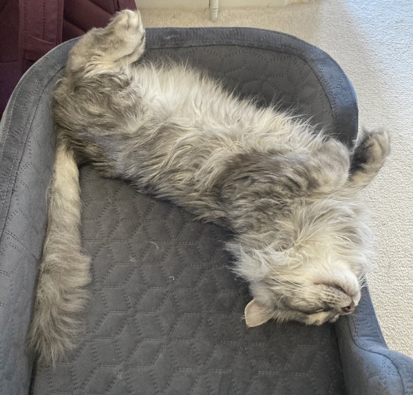 Plans for the day